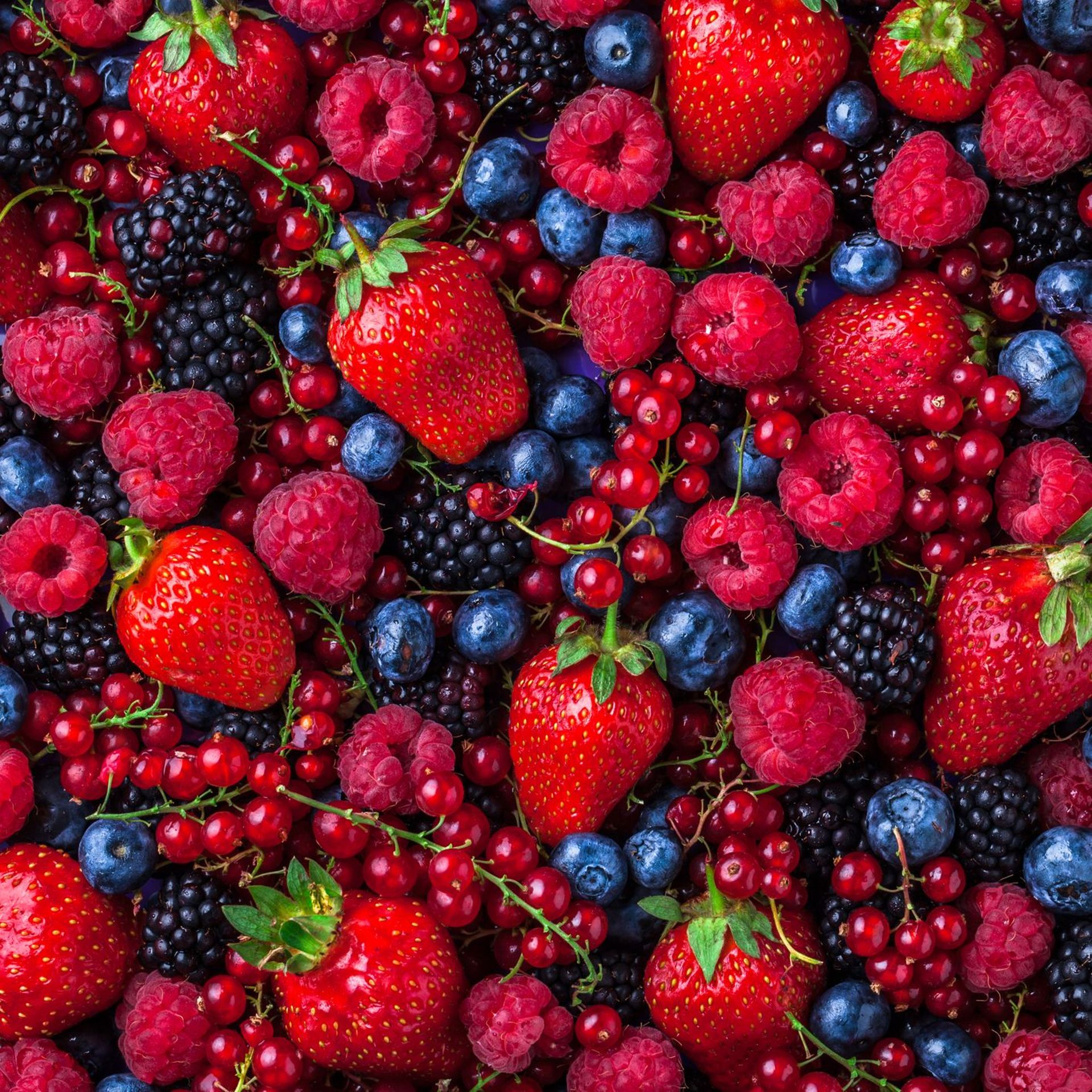 Fruits rouges